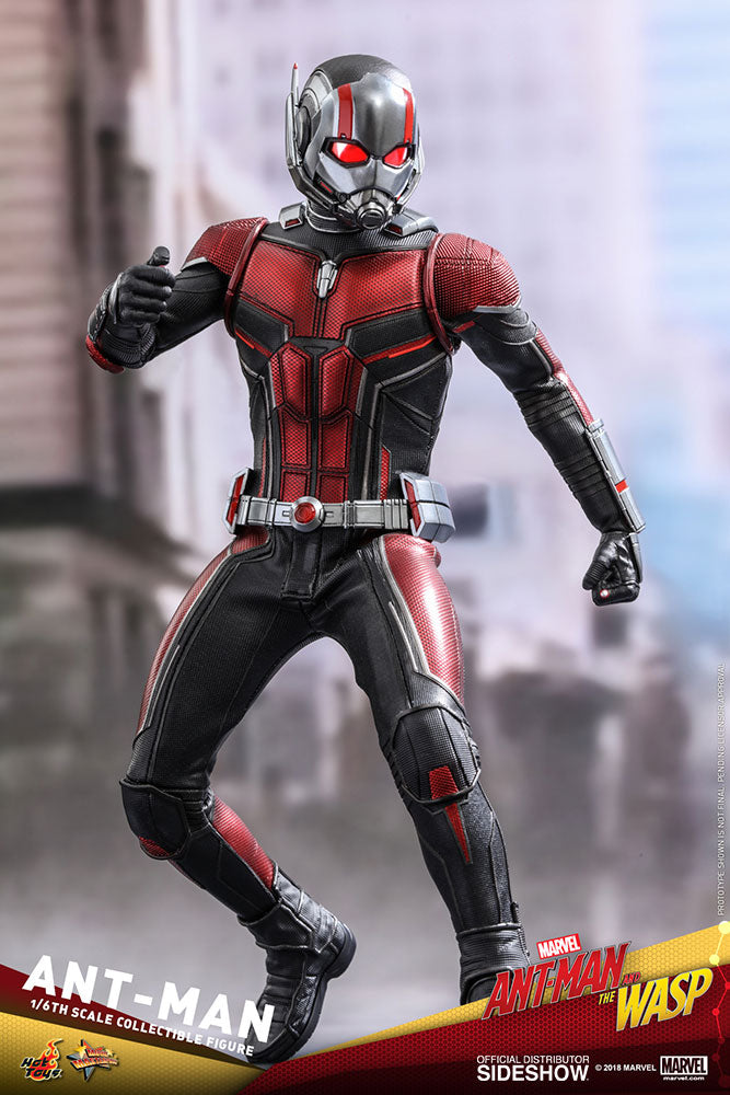 Hot Toys Marvel Ant-Man and The Wasp Ant-Man 1/6 Scale Figure – Maybang's  Collectibles