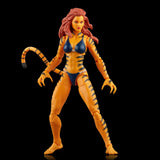 Hasbro Marvel Legends Series The West Coast Avengers Collection, 5 Comics-Inspired Collectible 6-Inch Action Figures Exclusive