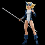 Hasbro Marvel Legends Series The West Coast Avengers Collection, 5 Comics-Inspired Collectible 6-Inch Action Figures Exclusive