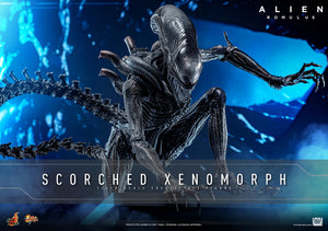 Hot Toys Alien: Romulus Scorched Xenomorph 1/6 Scale Collectible Figure