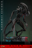 Hot Toys Alien: Romulus Scorched Xenomorph 1/6 Scale Collectible Figure