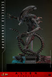 Hot Toys Alien: Romulus Scorched Xenomorph 1/6 Scale Collectible Figure