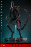 Hot Toys Alien: Romulus Scorched Xenomorph 1/6 Scale Collectible Figure