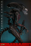 Hot Toys Alien: Romulus Scorched Xenomorph 1/6 Scale Collectible Figure