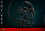 Hot Toys Alien: Romulus Scorched Xenomorph 1/6 Scale Collectible Figure