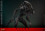 Hot Toys Alien: Romulus Scorched Xenomorph 1/6 Scale Collectible Figure