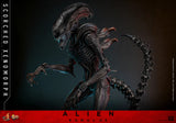 Hot Toys Alien: Romulus Scorched Xenomorph 1/6 Scale Collectible Figure