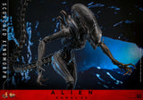 Hot Toys Alien: Romulus Scorched Xenomorph 1/6 Scale Collectible Figure