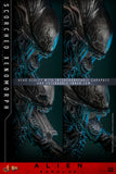 Hot Toys Alien: Romulus Scorched Xenomorph 1/6 Scale Collectible Figure