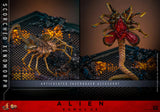 Hot Toys Alien: Romulus Scorched Xenomorph 1/6 Scale Collectible Figure