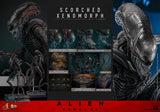 Hot Toys Alien: Romulus Scorched Xenomorph 1/6 Scale Collectible Figure