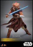 Hot Toys Star Wars: The Clone Wars Plo Koon 1/6 Scale 12" Collectible Figure