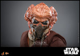 Hot Toys Star Wars: The Clone Wars Plo Koon 1/6 Scale 12" Collectible Figure