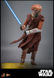 Hot Toys Star Wars: The Clone Wars Plo Koon 1/6 Scale 12" Collectible Figure