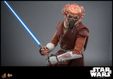 Hot Toys Star Wars: The Clone Wars Plo Koon 1/6 Scale 12" Collectible Figure