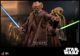 Hot Toys Star Wars: The Clone Wars Plo Koon 1/6 Scale 12" Collectible Figure