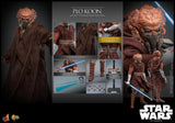 Hot Toys Star Wars: The Clone Wars Plo Koon 1/6 Scale 12" Collectible Figure