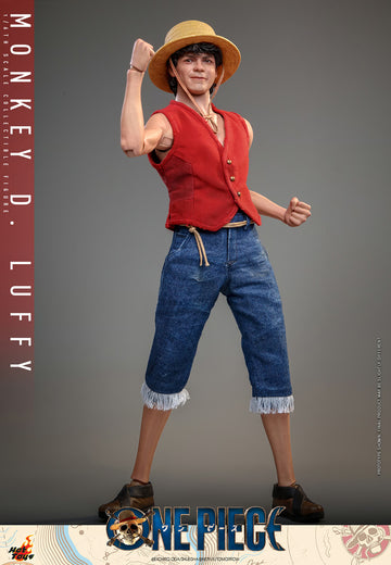 One Piece: Monkey D. Luffy 1:10 Scale Action Figure