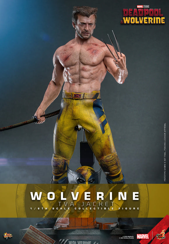 Hot Toys Marvel Comics Deadpool & Wolverine Wolverine (TVA Jacket Version) 1/6 Scale 12