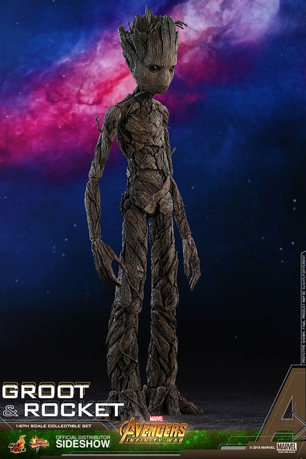 Hot Toys Marvel Avengers Infinity War Groot & Rocket 1/6 Scale