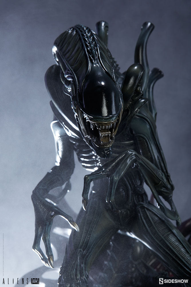 Sideshow Aliens Alien Warrior Xenomorph Statue – Maybang's