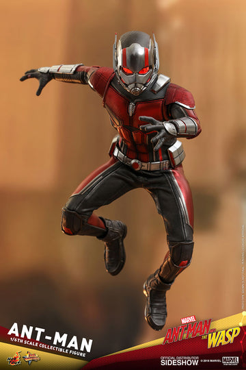 Hot Toys Marvel Ant-Man and The Wasp Ant-Man 1/6 Scale Figure – Maybang's  Collectibles